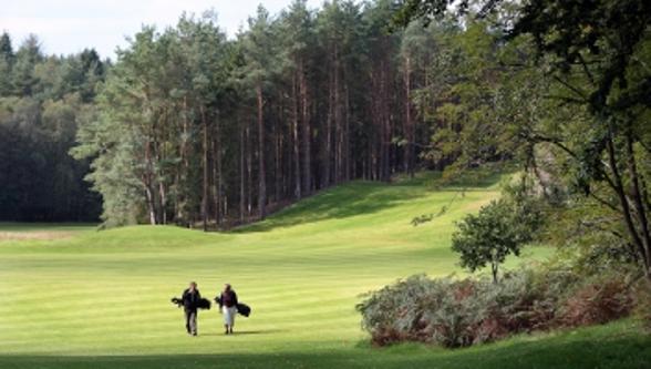 Dayz Sohojlandet Golf Resort Gjern Szoba fotó